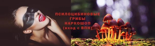 mdpv Осташков