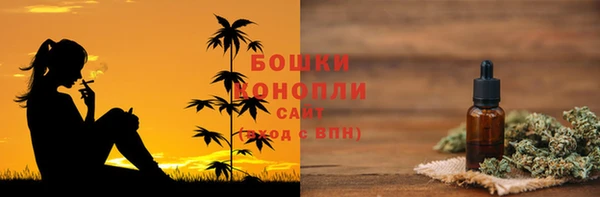 мет Няндома