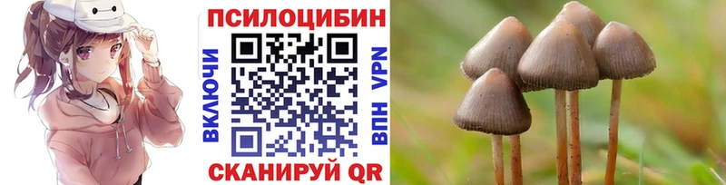 Псилоцибиновые грибы Magic Shrooms  купить закладку  Петров Вал 
